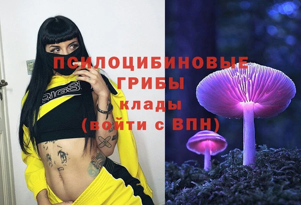 гашик Верхнеуральск