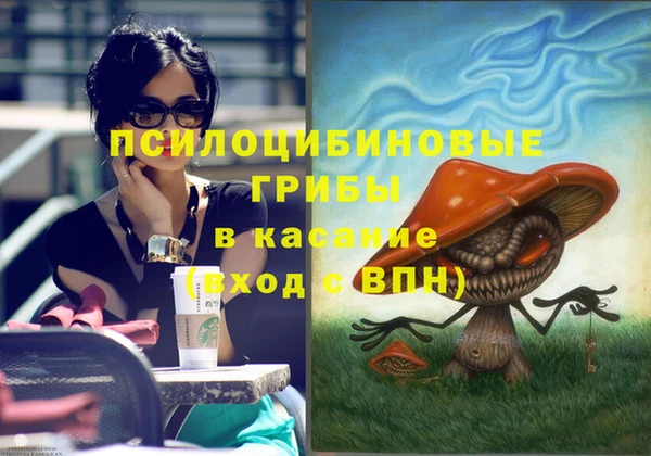 apvp Бородино