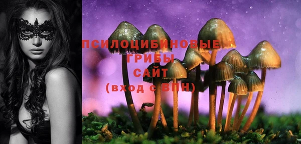 spice Верхний Тагил